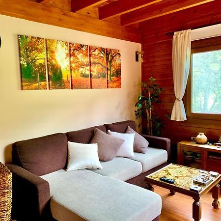 Apartamento Siscaro Apartment Vila Ngoại thất bức ảnh